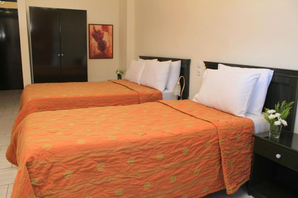 Famissi Eden Hotel 칼람파카 객실 사진